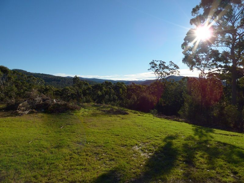 41 Kiaka Road, Nethercote NSW 2549