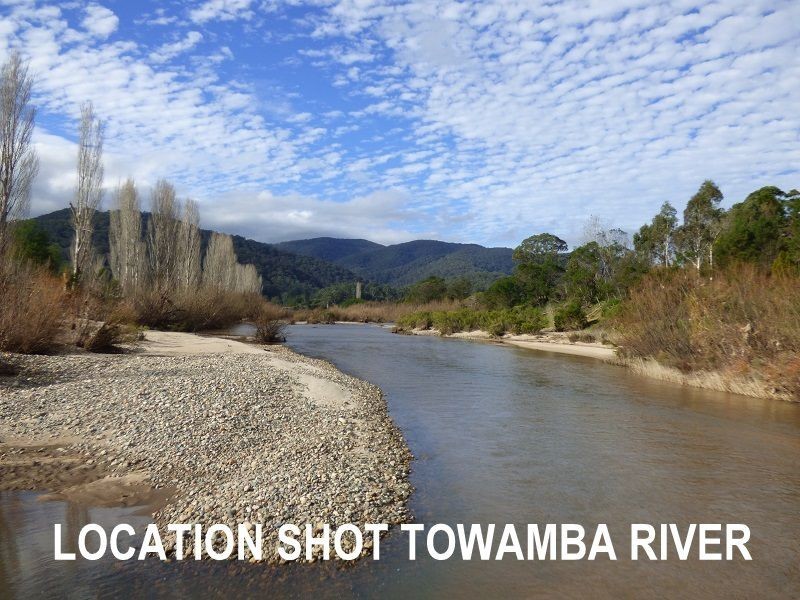 8 -10 Towamba Street, Towamba NSW 2550