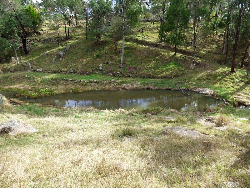 59 Ben Beasley Road, Towamba NSW 2550