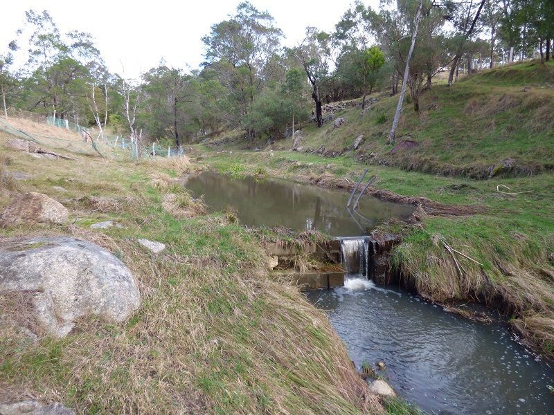 59 Ben Beasley Road, Towamba NSW 2550