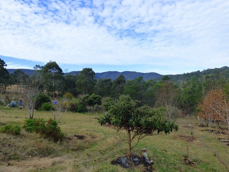 59 Ben Beasley Road, Towamba NSW 2550