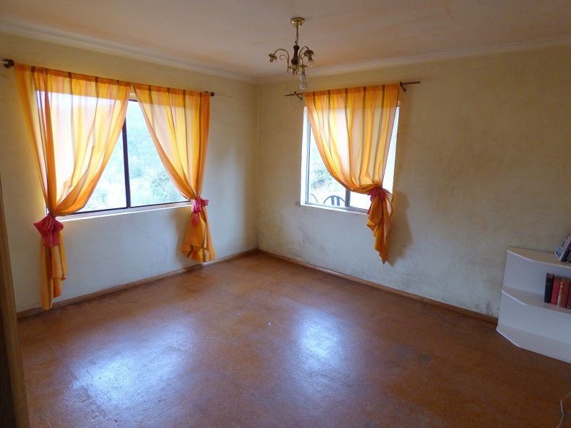 59 Ben Beasley Road, Towamba NSW 2550