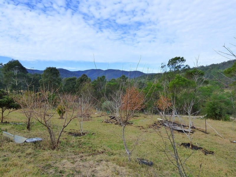 59 Ben Beasley Road, Towamba NSW 2550