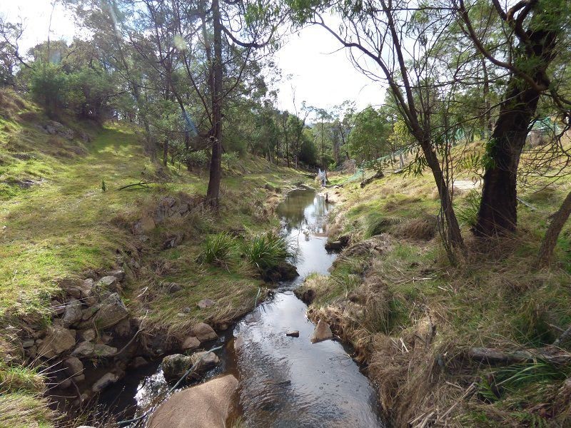 59 Ben Beasley Road, Towamba NSW 2550