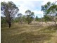 59 Ben Beasley Road, Towamba NSW 2550