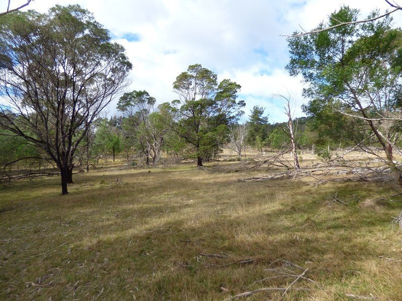 59 Ben Beasley Road, Towamba NSW 2550