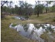 59 Ben Beasley Road, Towamba NSW 2550