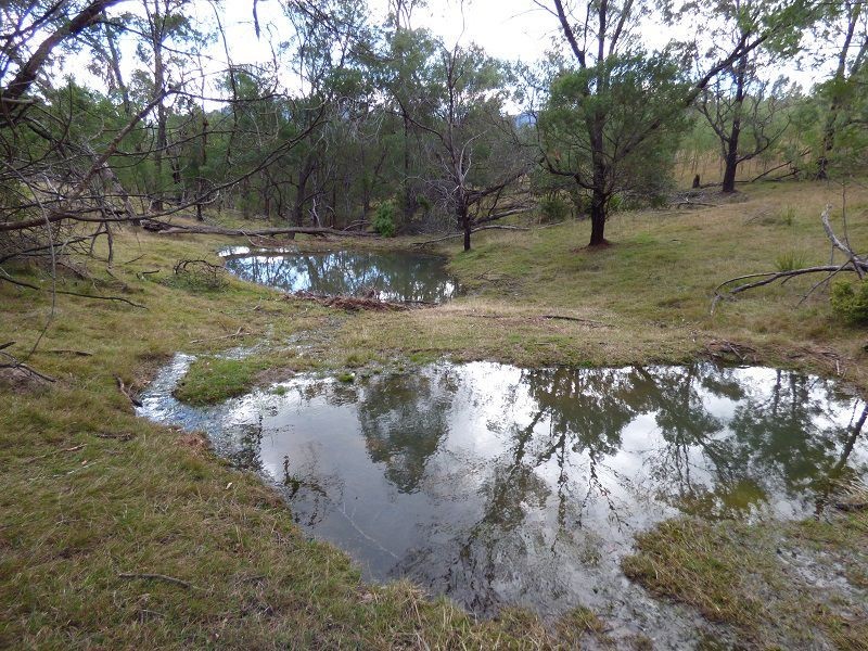 59 Ben Beasley Road, Towamba NSW 2550