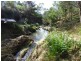 59 Ben Beasley Road, Towamba NSW 2550