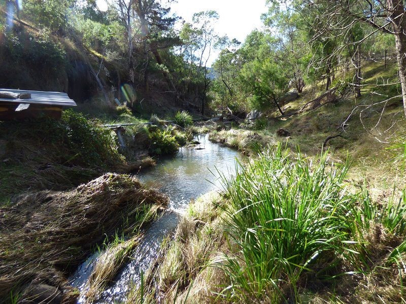 59 Ben Beasley Road, Towamba NSW 2550
