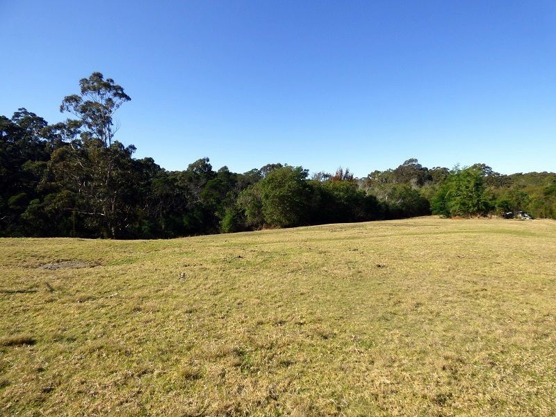 171 Back Creek Road, Nethercote NSW 2549