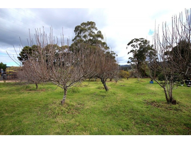 Lot 1221 Princes Highway, Greigs Flat NSW 2549