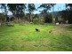 Lot 1221 Princes Highway, Greigs Flat NSW 2549