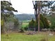 Lot 1221 Princes Highway, Greigs Flat NSW 2549