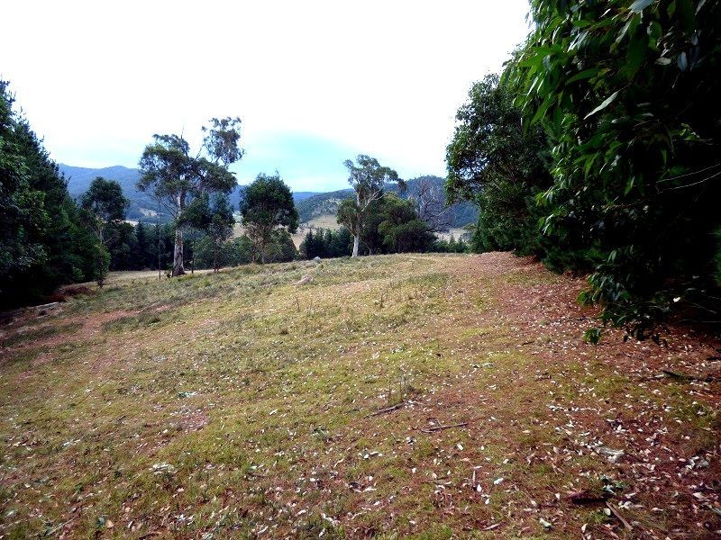 842 New Buildings Road, Wyndham NSW 2550