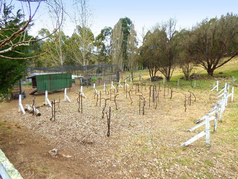 842 New Buildings Road, Wyndham NSW 2550