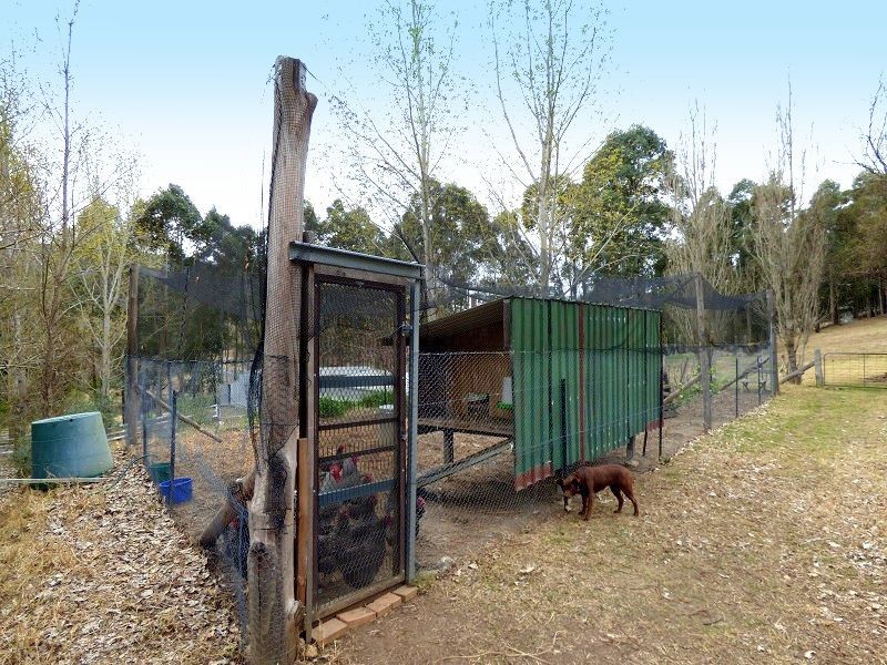 842 New Buildings Road, Wyndham NSW 2550