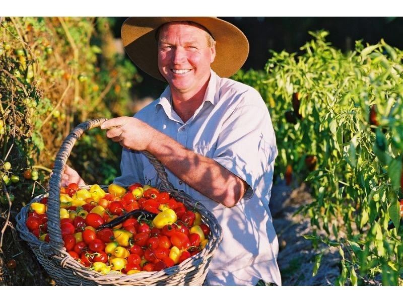 40 Government Road, Eden NSW 2551