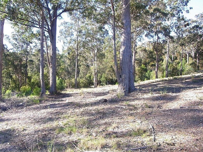 L40 Ben Boyd Parade, BOYDTOWN Via EDEN, Eden NSW 2551