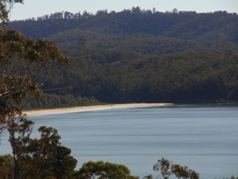 10 Cornubia Place, Boydtown NSW 2551