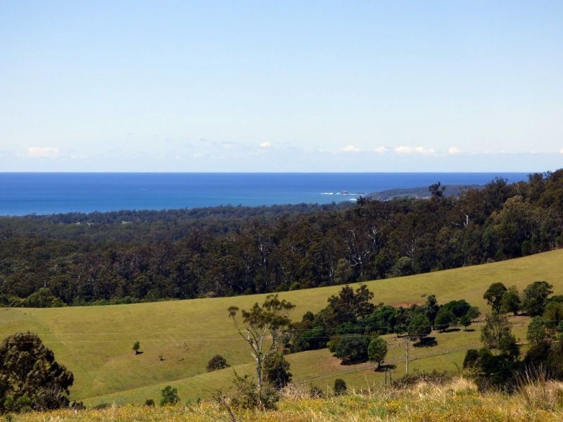 L105 Woodlands Lane, Bald Hills NSW 2549