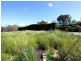 2 Phillipps Street, Eden NSW 2551