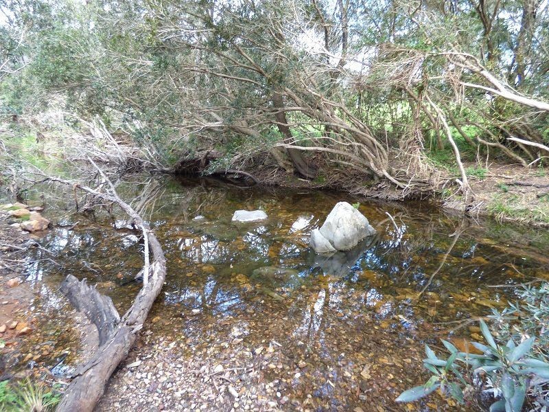 9 Back Creek Road, Nethercote NSW 2549