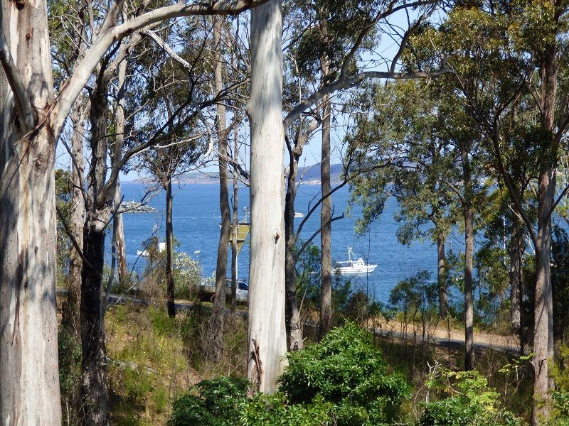 20 Andrea Street, Eden NSW 2551