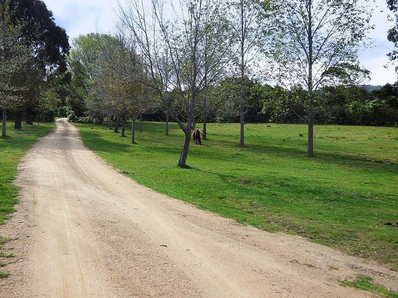 3 George Brown Street, Eden NSW 2551
