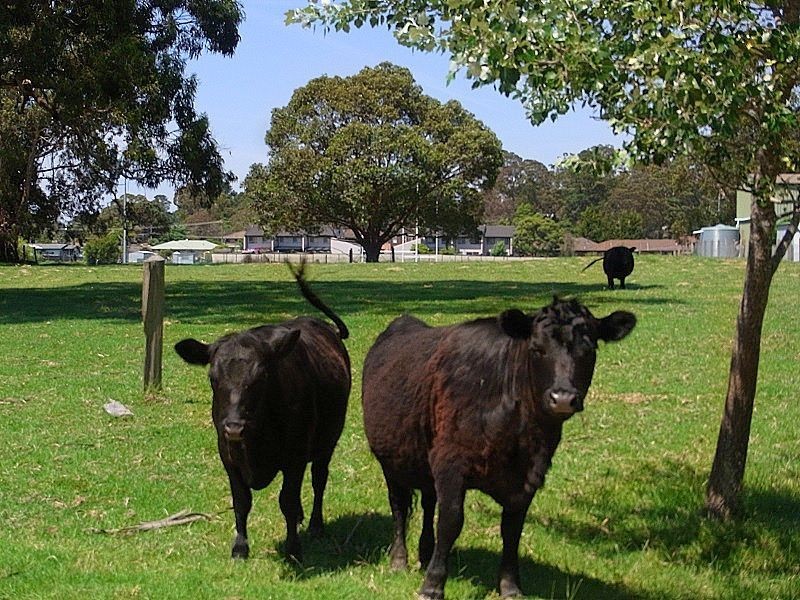 3 George Brown Street, Eden NSW 2551