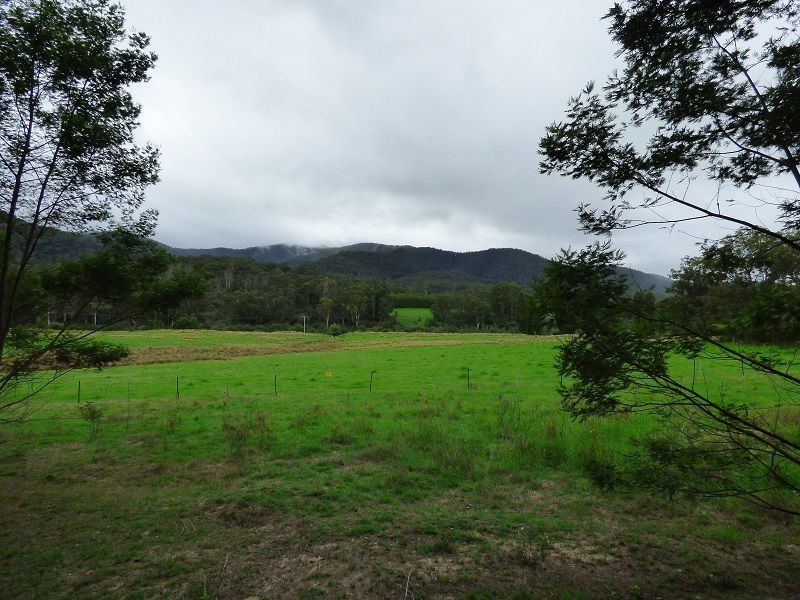 Lots 4 & 5 18-20 Denison Street, Towamba NSW 2550