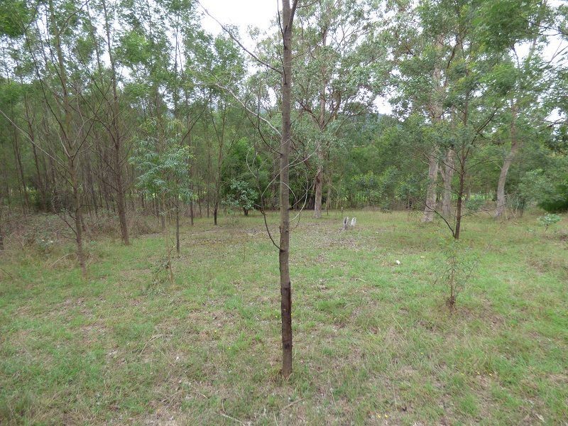 Lots 4 & 5 18-20 Denison Street, Towamba NSW 2550