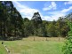 433 Myrtle Mountain Road, Wyndham NSW 2550