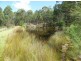 433 Myrtle Mountain Road, Wyndham NSW 2550