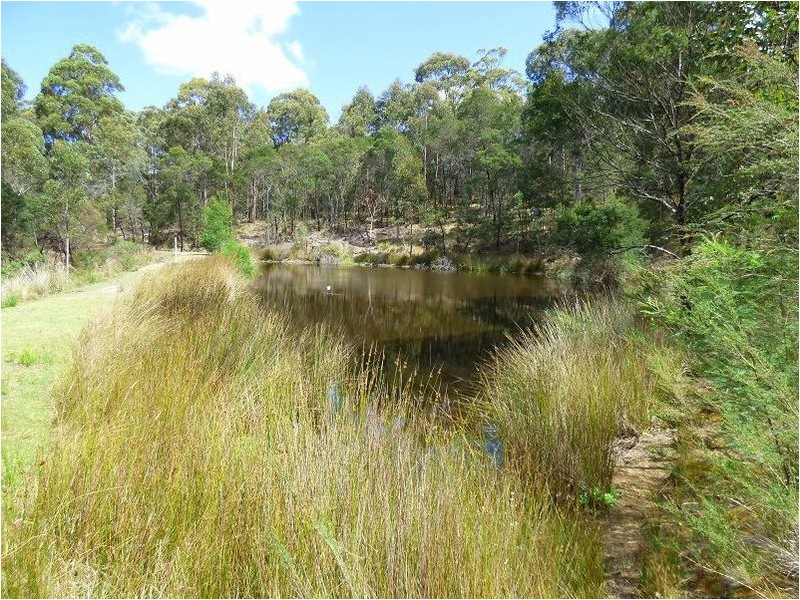 433 Myrtle Mountain Road, Wyndham NSW 2550