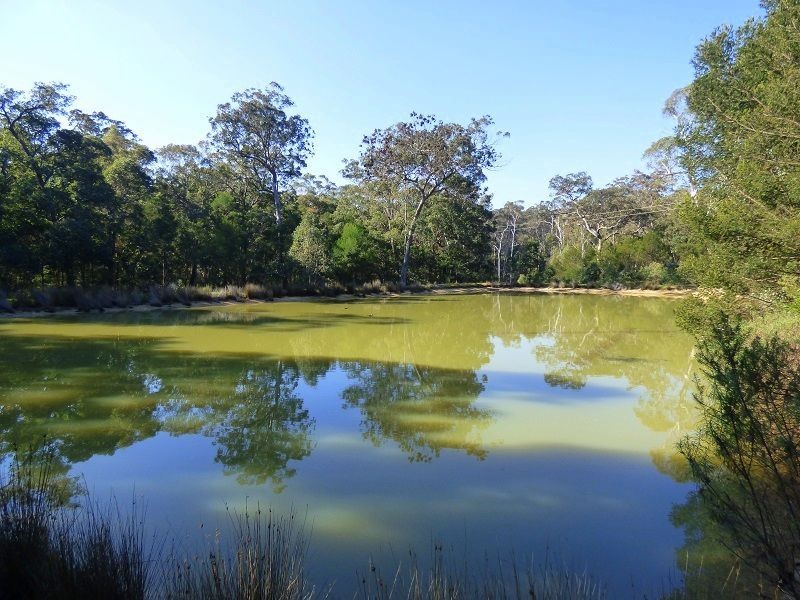 “Misty Blue” 939 Burragate Road, Wyndham NSW 2550