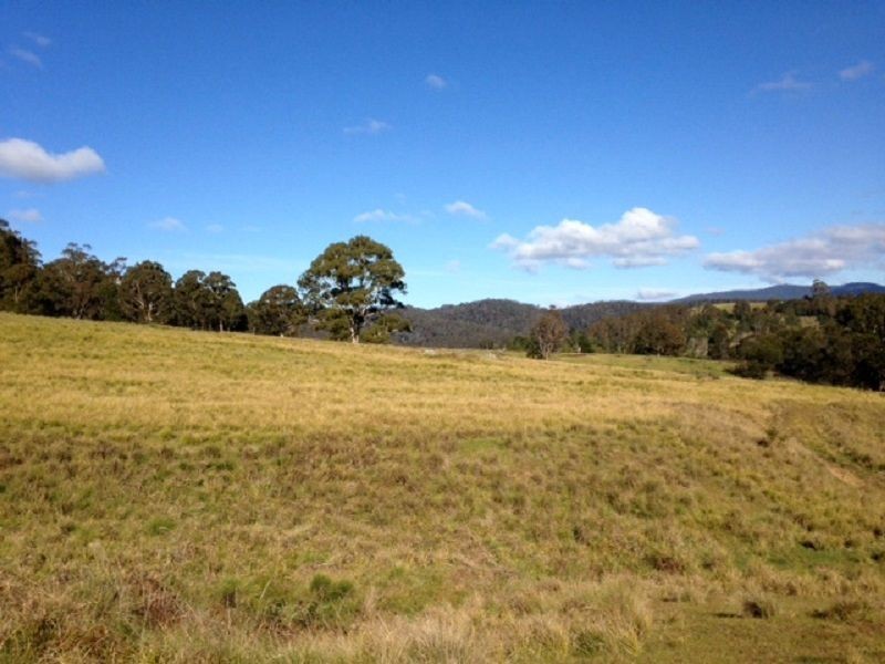 613 New Buildings Road, Wyndham NSW 2550