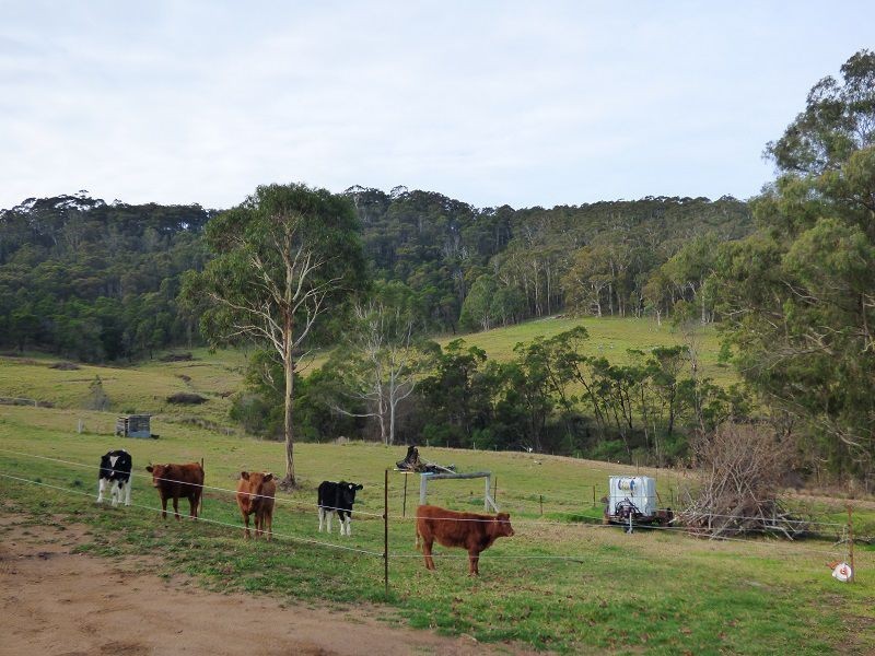 613 New Buildings Road, Wyndham NSW 2550