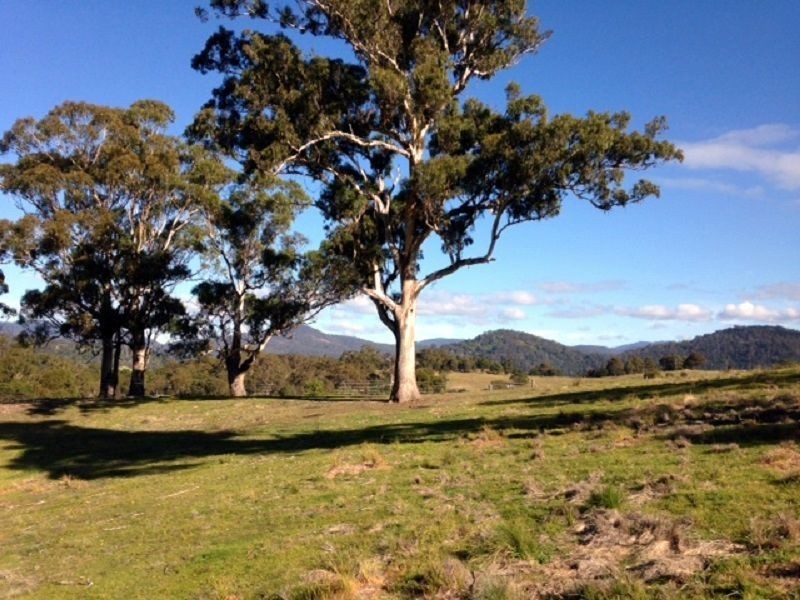 613 New Buildings Road, Wyndham NSW 2550