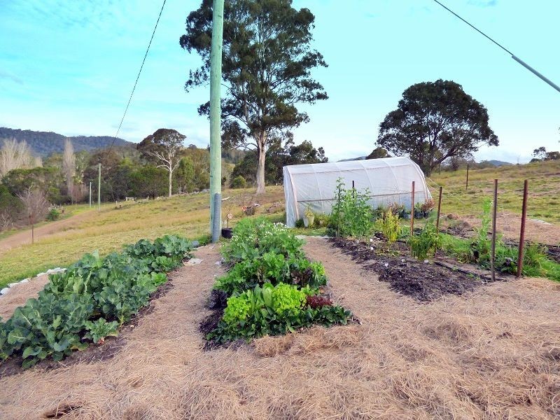 613 New Buildings Road, Wyndham NSW 2550