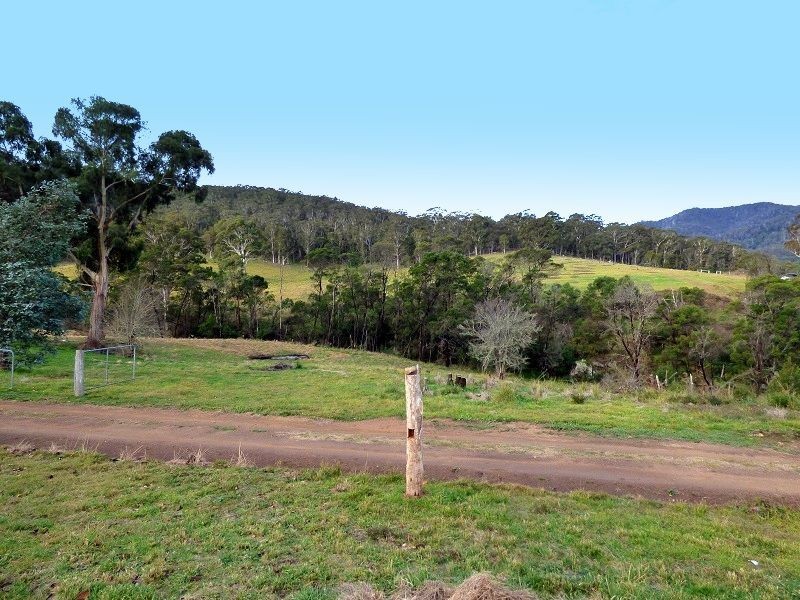 613 New Buildings Road, Wyndham NSW 2550