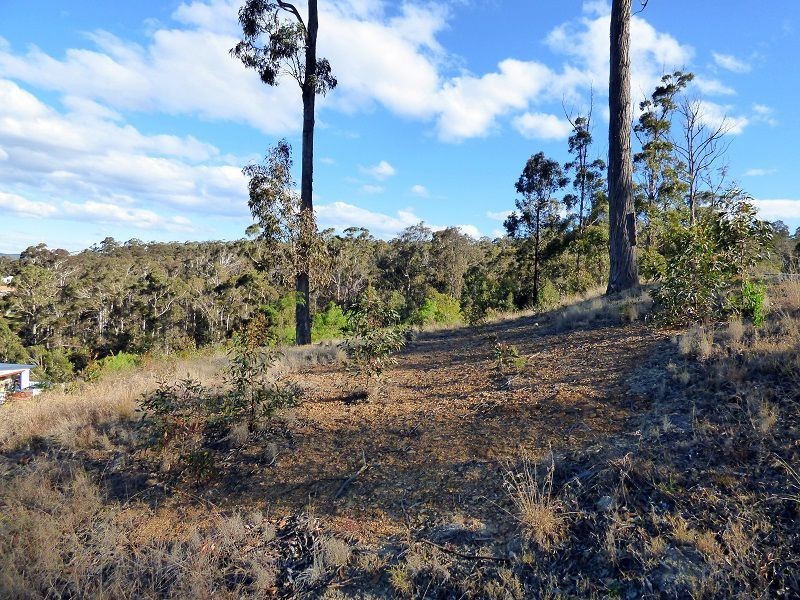 6 Whale Cove Circuit, Eden NSW 2551