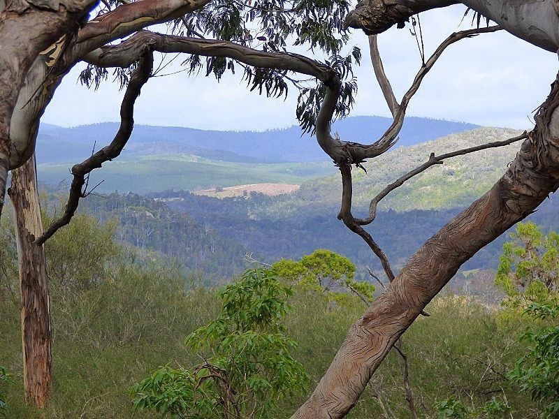 69 Sheepskin Road, Burragate NSW 2550