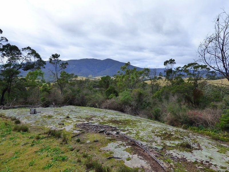 69 Sheepskin Road, Burragate NSW 2550