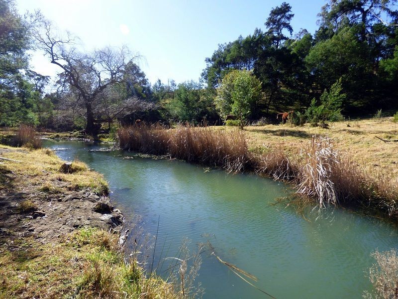 20 Fourters Road, Nethercote NSW 2549