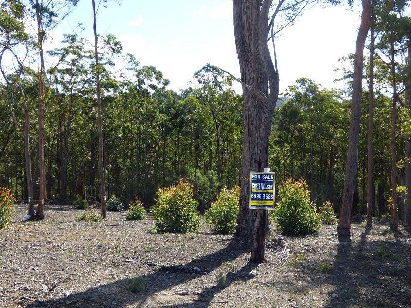 Lot 85 Mac Hill Place, Bald Hills NSW 2549