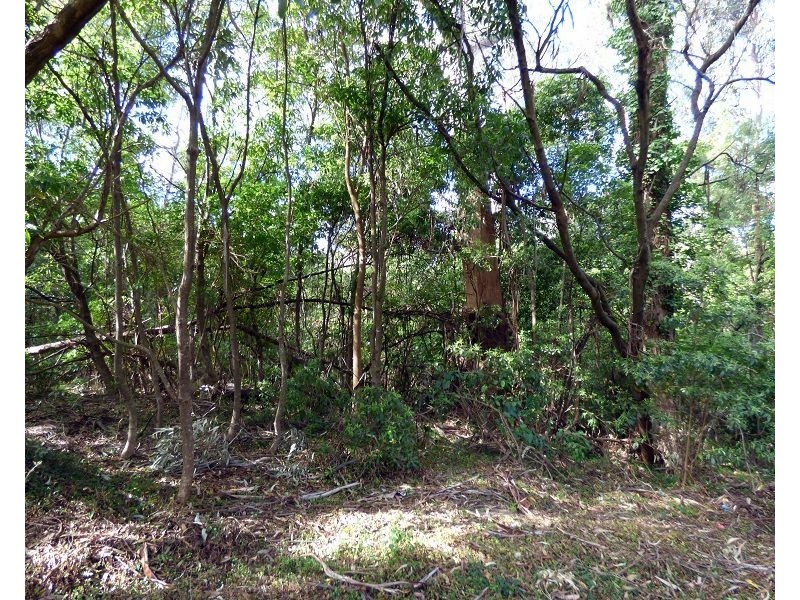 Lot 100 Cattle Bay Road, Eden NSW 2551