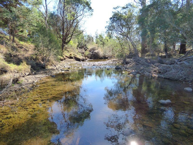 1610 Nethercote Road, Nethercote NSW 2549