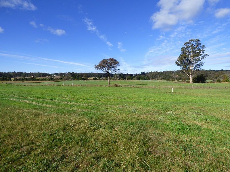 1610 Nethercote Road, Nethercote NSW 2549