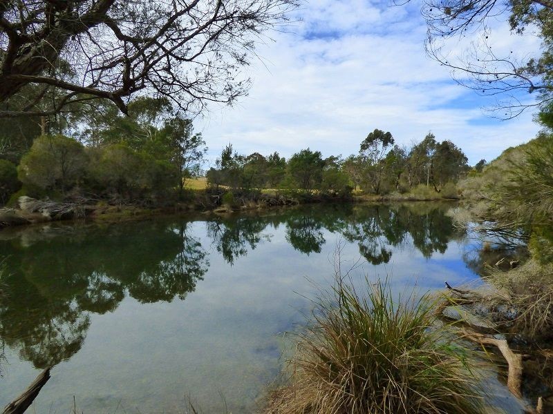 1610 Nethercote Road, Nethercote NSW 2549